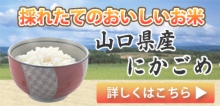 kome.jpg