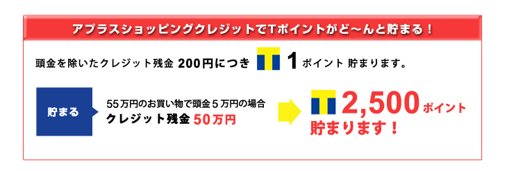 tpoint_03.jpg